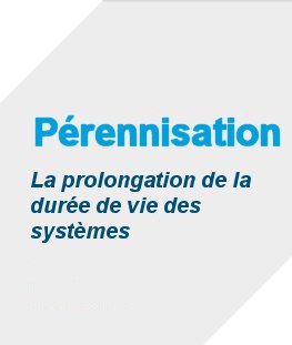 angle article perennisation